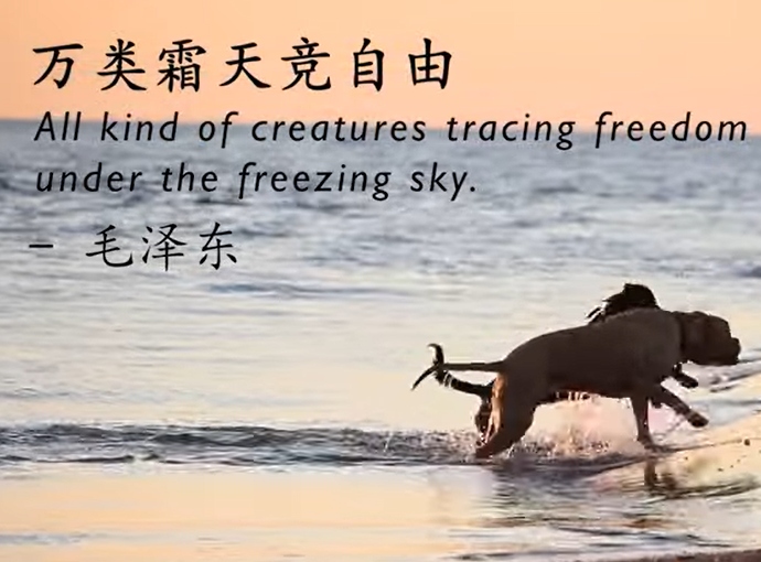 2020最佳體驗(yàn)獎(jiǎng)
