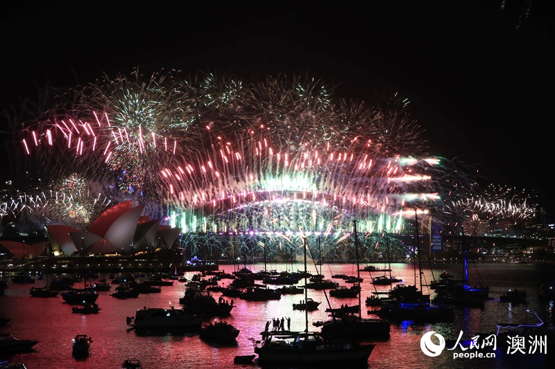 悉尼舉行跨年慶典，絢爛煙花裝點(diǎn)夜幕（攝影 張舒惠）