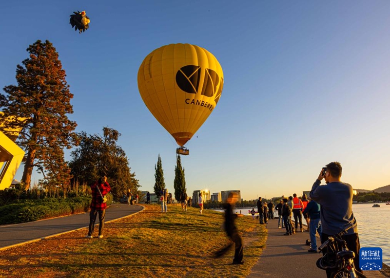 澳大利亞堪培拉舉行熱氣球節(jié)【4】