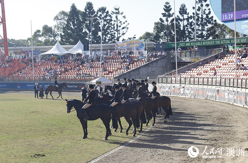 2025悉尼皇家復(fù)活節(jié)農(nóng)展會上的馬術(shù)比賽（攝影 劉美鷺）