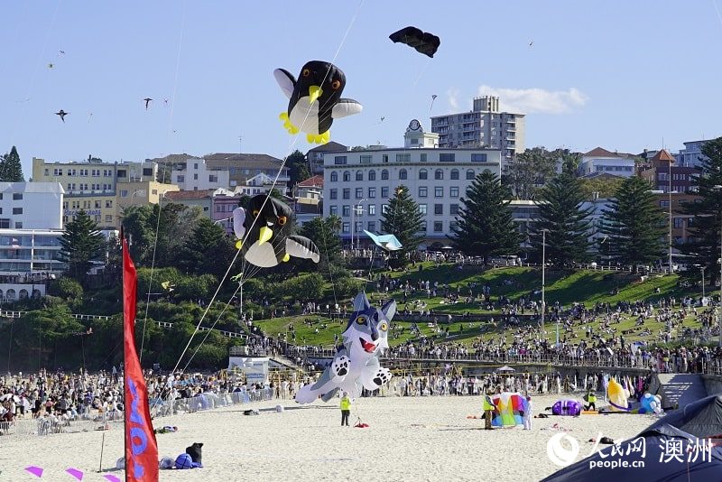 2025年悉尼風(fēng)箏節(jié)活動(dòng)現(xiàn)場(chǎng)（攝影 石想）
