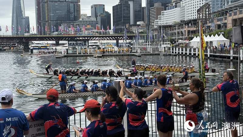 2026悉尼新春龍舟賽在達(dá)令港舉行（攝影 沈詩(shī)洋）