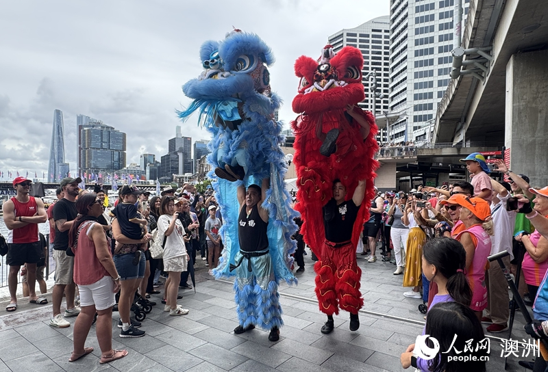 2026悉尼新春龍舟賽現(xiàn)場的舞獅表演吸引眾多游客駐足觀看（攝影 王泉驕）