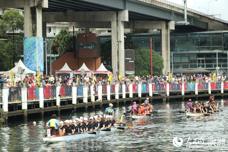 2026悉尼新春龍舟賽吸引眾多市民及游客前來觀賽（攝影 沈詩洋）