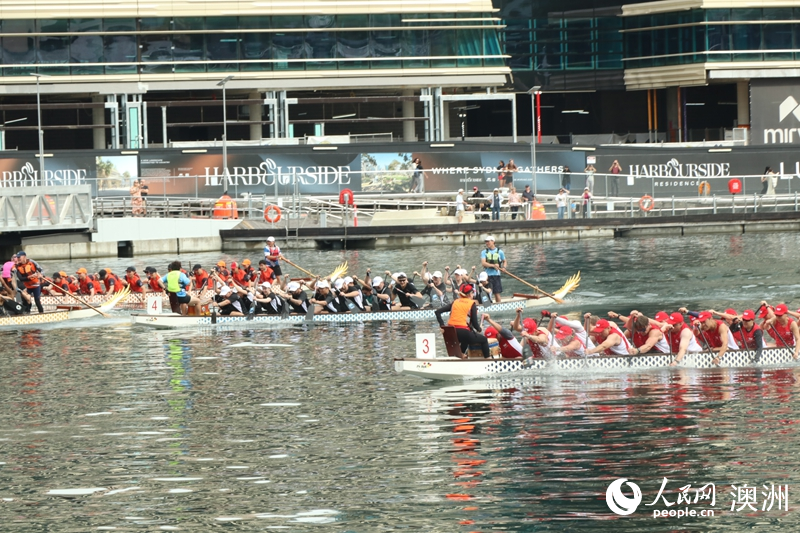 2026悉尼新春龍舟賽在達令港舉行（攝影 王泉驕）