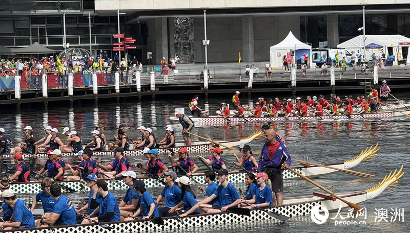 2026悉尼新春龍舟賽在達(dá)令港舉行（攝影 沈詩(shī)洋）